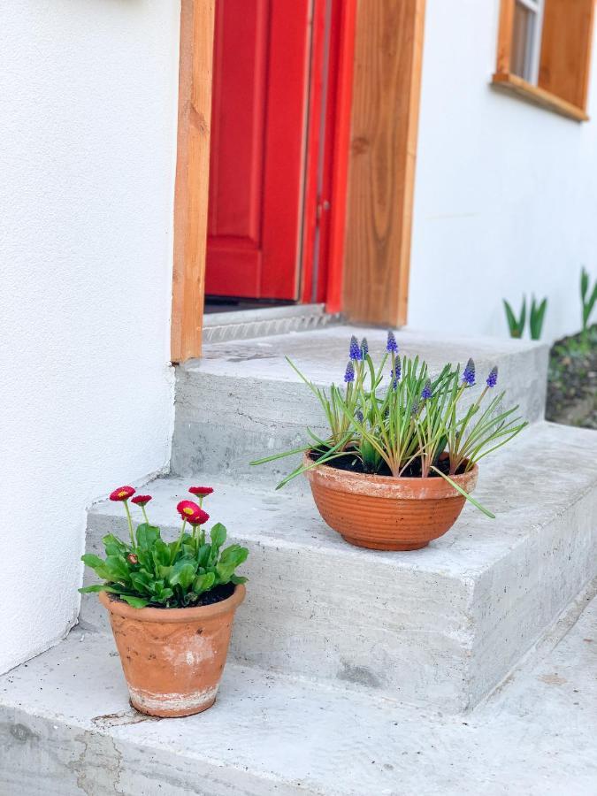 Ferienhaus Feni Neckargemünd Exteriör bild